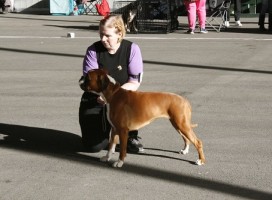 bECKY NBK 5.8