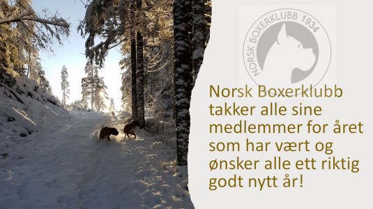 Godt nytt år
