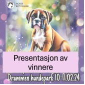 presentasjon av vinnere