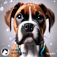 Webinae 3.4.24