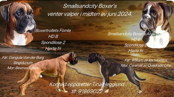 Smallsandcity  kull