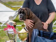 Vestby 09.06.2024 - G & T-Hjertebo's Stargazing Pilar - CK 1.BTK BIR Best i rasen - Norsk Årsvinner 2024