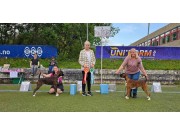 Presentasjon av vinnere - NBK spesialutstiling Fauske  02.08.2024