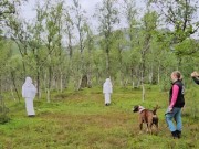 Tromsø 22.06.2024 - Sapmi Sailor Wild At Heart - Mentalbeskrivelse hund (MH) 
