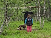 Tromsø 22.06.2024 - Sapmi Sista' Lula - Mentalbeskrivelse hund (MH) 