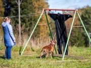 Nittedal 28.09.2024 -  Nordic Hope Debby - Mentalbeskrivelse hund (MH) 