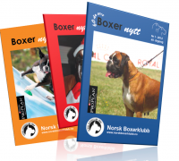 Boxernytt illustrasjon