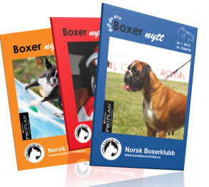 Boxernytt illustrasjon