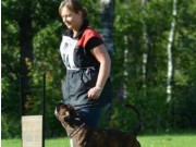 Kils 10.09.2016 - Kils Brukshundklubb - NBF spor klasse A