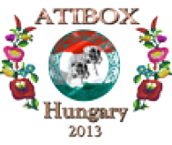 logo ATIBOX Ungarn