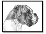 Velkommen til oppdretterseminar