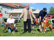 &Aring;rsvinnerutstilling 2014