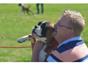 Arne J. Haugen - ny spesialdommer for boxer