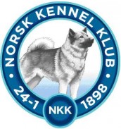 NKK-Logo best