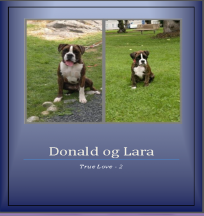 Donald og Lara 2