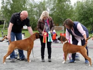 Leopold og Libelle av Boxerhuset 270615