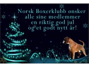 GOD JUL OG GODT NYTT ÅR!