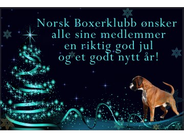 GOD JUL OG GODT NYTT ÅR!