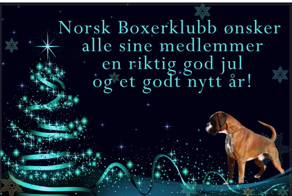 God jul 2015
