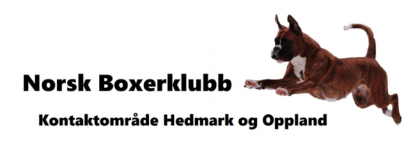 NBK Hedmark og Oppland