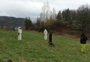 Urban Legend`s High Five MH