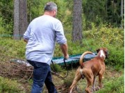 Trøgstad 24.09.2016 - Norsk Boxerklubb avd. Oslo og Akershus - Mentalbeskrivelse - MH,