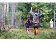 Ikke glem å meld deg på: Boxerseminar om mentaltesting lørdag 25. mars 2017 på Gardermoen Samfunnshus - Messa