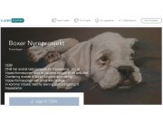 Boxer Nyreprosjekt - med oppdatering innsamlede midler pr. 13. februar 2017