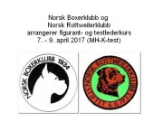 Norsk Boxerklubb og Norsk Rottweilerklubb arrangerer figurant- og testlederkurs i april 2017