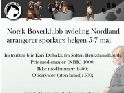Norsk Boxerklubb avdeling Nordland arrangerer sporkurs 5. - 7. mai 2017