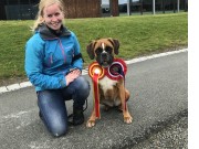 Oppdal 24.06.2017 - Gauldal Hundeklubb - CERT, BIR