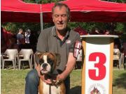 Slovakia 26.05.2017 - Slovakiske Boxerklubben Anton - Exc. 3.JKK