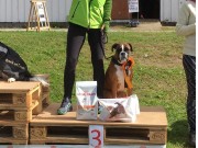 Slitu 17.09.2017 - Indre Østfold Hundeklubb - Agility Klasse 1