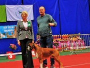 Panevezys, Litauen 21.10.2017 - Panevezio sunu myletoju klubas "Lunaris" - CERT - BIR