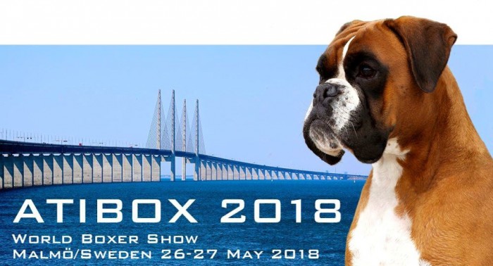 Atibox WBS 2018