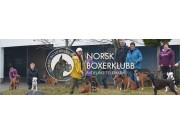 Norsk Boxerklubb avd. Telemark inviterer til spesialutstilling lørdag 24. august 2019