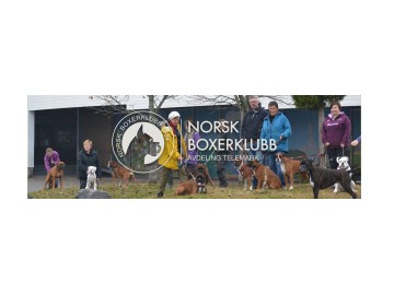 Velkommen til spesialutstilling i Porsgrunn - NBK Telemark - Lørdag 24. august 2024 