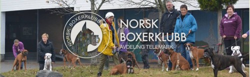 Telemark