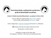 Norsk Boxerklubb inviterer til dobbeltutstilling 9.- og 10. februar 2019