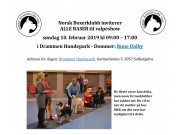 Norsk Boxerklubb inviterer til Valpeshow for (nesten) ALLE raser 10.02.2019