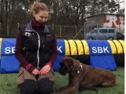 Stavanger 02.03.2019 - Rexob Lucky Talisman - Rallylydighet kl 1 - 1.premie 189 poeng