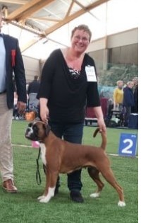 Kronion's Dixi Darling 040519