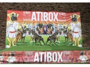 ATIBOX Generalforsamling 24. mai 2019 - Romania