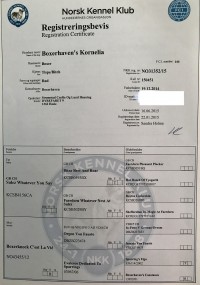 Registreringsbevis