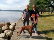 Hamresanden, Kristiansand 24.08.2019 - Birkeboxer Primo - CERT BIR