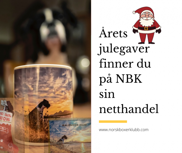 AretsJulegaver2019