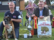 Horten 05.09.2020 - Bozzz von Ellinghaus - Beste veteran, Årsvinner Veteran 2020, 4.BHK
