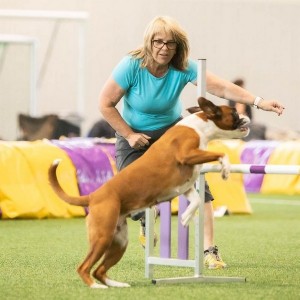 Nashira av Boxerhuset 20-09-2020
