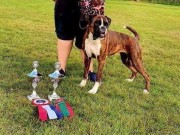 Horten 05.09.2020 - Kronion's Jane Austin - 3.BTK CERT - Norsk- og Dansk UtstilliiingsChampion