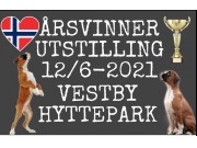 Velkommen til Årsvinnerutstilling 2021!